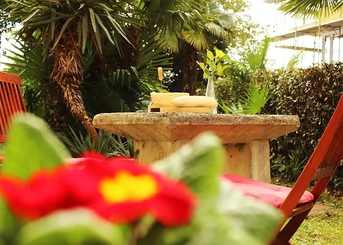 Runko In Emilia Apartman